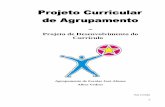 Projeto de Desenvolvimento do Currículo - aejoseafonso.ptaejoseafonso.pt/documentos/PCA.pdf · Projeto Curricular de Agrupamento ... desenvolvimento do currículo adequado às características