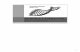 A organização dos genomas, além da sequência de ...biologia.bio.br/curso/2º período Faciplac/Biologia Celular... · Figura: Evolução do cromossomo X humano, segundo Lahn e