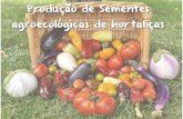 Produção de Sementes agroecológicas de hortaliças - CPRA · - generalidades da polinização ... - controle das doenças e prevenção - produção de sementes na prática: -