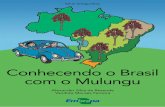Conhecendo o Brasil com o Mulungu - ainfo.cnptia.embrapa.brainfo.cnptia.embrapa.br/digital/bitstream/item/161022/1/conhecendo... · Outro bioma da região Centro-Oeste é o Pantanal.