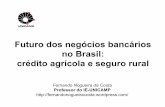 Futuro dos negócios bancários no Brasil: crédito agrícola ... · tratores, colhedeiras, ... das dívidas dos produtores rurais e dos preços agrícolas por indexadores distintos