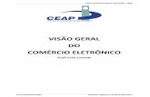 VISÃO GERAL DO COMÉRCIO ELETRÔNICO - ceap.brceap.br/material/MAT08082012131257.pdf · Organizações totalmente físicas ... organizações da velha economia, enquanto as devotadas