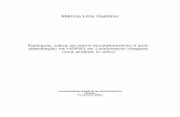 Márcio Lins Galdino · 2004-07-12 · Márcio Lins Galdino Epitopos, sítios de trans-encadeamento e poli-adenilação na HSP83 de Leishmania chagasi: uma análise in silico Dissertação