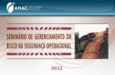 PowerPoint Presentation¡rios/Segurança Operacional para... · O Brasil, em 2011, contava com 1.458 helicópteros em atividade, que representavam 7,8% das 18.798 aeronaves da frota