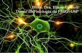 Profa. Dra. Eliane Comoli Depto de Fisiologia da FMRP-USP · para o terminal pós-sináptico através de canais do tipo gap-junctions ou ... Em invertebrados é encontrada em ...