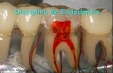 Disciplina de Endodontia - Patrícia Ruiz Spyere · Cohen; Burns “A Endodontia é o campo da Odontologia que estuda a morfologia da cavidade pulpar, a fisiologia e a patologia da