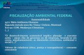 Ministério do Meio Ambiente Instituto Brasileiro do Meio ... · Instituto Brasileiro do Meio Ambiente e dos Recursos Naturais Renováveis Superintendência do IBAMA no Estado do
