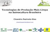 Tecnologias de Produção Mais Limpa na Suinocultura Brasileira · (visita realizada pela equipe de consultores do Projeto Suinocultura de Baixa Emissão de Carbono dia 28 maio 2015
