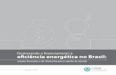 Destravando o nanciamento à e˚ciência energética no Brasil · D. Casos internacionais ... e bancos reconhecem a existência de barreiras, ... Representante no Brasil da rede do