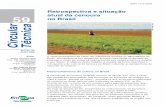 ISSN 1415-3033 · retrospectiva da cultura da cenoura no Brasil e abordar as ... atual da cenoura no Brasil sementes de ... política econômica vigente no ...