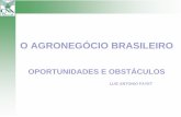 O AGRONEGÓCIO BRASILEIRO · Complexo Soja 2º 1º 37% Carne Bovina 2º 1º 27% Carne de Frango 2º 1º 39% ... - Prejuízos ao agronegócio da soja em 2007 + de 3 bilhões de reais.