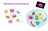 Sistema Imunitário10ebgspedro.weebly.com/uploads/1/4/0/3/14035134/sistema_imunit... · ocorre multiplicação dos linfócitos selecionados por mitoses. Diferenciação dos linfócitos