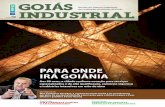 Para onde irá Goiânia - Sistema FIEG · das Indústrias do Estado de Goiás Para onde ... os concluintes dos cursos de capacitação do Arranjo Produtivo Local ... custos unitários