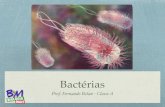 Bactériasbiologiamais.com.br/download-231/ba07-e-08-procariontes.pdf · Seres unicelulares, sem núcleo organizado. Bactérias e cianobactérias. São agrupadas na reino monera.