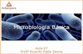 Microbiologia Básica · Microbiologia Básica Aula 07 ... o Contaminação: Endósporos em lesões de pele, inalação ou ingestão de carne ou derivados de animais contaminados.