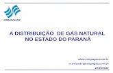 A DISTRIBUIÇÃO DE GÁS NATURAL NO ESTADO DO PARANÁ · Lei N.º - 11.909, de 4 de março de 2009 Dispõe sobre as atividades relativas ao transporte de gás natural, de que trata