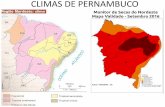 CLIMAS DE PERNAMBUCObiosaprova.com.br/arquivos/pmpe/GEOGRAFIA DE PERNAMBUCO 2018... · QUANTO ÀS FOLHAS (TAMANHO) LATIFOLIADAS ACICULIFOLIADAS Vegetais de folhas largas que facilitam