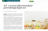 O coordenador pedagógico - linhadireta.com.br · compõem o material do Proinfantil (MEC). O projeto se desenvolveu de março a novembro do ano de 2012, na zona de fronteira Brasil