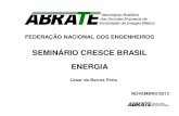 SEMINÁRIO CRESCE BRASIL ENERGIA de Barros Pinto.pdf · Manifestação de interesse com antecedência de 36 meses e manifestação da ANEEL em 18 meses Desde 2008 as concessionárias