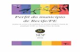 Perfil do município de Recife/PE - nesp.unb.br · maior percentual com 53,84% enquanto os homens correspondem a 46,16% e a faixa etária com maior percentual foi a de 25 a 29 anos