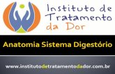 Prof. Ms. José Góes  · •Funções Preensão dos alimentos Mastigação Deglutição Digestão Absorção ... Anatomia Sistema Digestório .