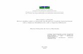 Mercosul e o Brasil: Breve Análise sobre a Inserção do ...bdm.unb.br/bitstream/10483/8363/1/2014_MariaEduardadeSerraMachado.pdf · sob o Aspecto Multilateral e sob o Aspecto Bilateral.