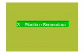 3 –Plantio e Semeadura - feis.unesp.br · 3.4 –Tipos de plantio e semeadura 3.4.1 -Plantio Utiliza mudas ou estruturas vegetativas e pode ser realizado em covas, sulcos ou a lanço.