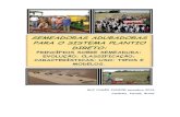 SEMEADORAS ADUBADORAS PARA O SISTEMA PLANTIO …blog.agropro.com.br/wp-content/uploads/2017/11/Semeadoras... · 3.4 Origem e expansão do sistema plantio direto à tração animal