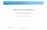 Microbiologia do Ambiente - FCULwebpages.fc.ul.pt/~maloucao/Aula 4.pdf · MA Martins-Loução, 2006 Microbiologia do Ambiente, 2006 Microbiologia do Ambiente Modelos conceptuais da