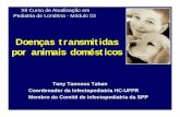 Doenças transmitidas por animais domésticos - hutec.com.br · Contato com animais diminui sintomas de ... (bicho geográfico) ... (filhotes) Ingestão de ovos do solo contaminados