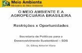 O MEIO AMBIENTE E A AGROPECUÁRIA BRASILEIRA … · Código Florestal - APPs Finalidade: Preservação de recursos hídricos, paisagem, estabilidade geológica, biodiversidade, fluxo