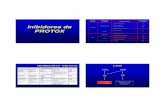 Inibidores da PROTOX - xa.yimg.comxa.yimg.com/kq/groups/35137484/50148282/name/Inib+protox+2009.pdf · Inibidores do FSI PD 6. Inibidores de PROTOX D Solo Apoplásticos 7. Inibidores
