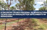 IV ENCONTRO TÉCNICO NACIONAL DE HEVEICULTURA TECNOLOGIA DA IRRIGAÇÃO ... · CONCEITOS BÁSICOS DAFERTIRRIGAÇÃO ... Menos de 5% de todas as terras agrícolas irrigadas usam tecnologia
