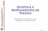 Genética e Melhoramento de Plantas - evunix.uevora.ptevunix.uevora.pt/~apeixe/Aulas/geneticaemelhoramento/marcadores... · 60ºC,permitindo a hibridação do primer a fita de DNA.