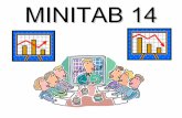 MINITAB 14 - Faculdade de Computação bacala/QS/introducao_  · PDF fileMuda o tipo de dados, alterando colunas de texto para numérico etc. Importa dados Combina duas ou mais colunas