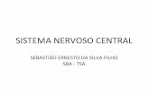 SISTEMA’NERVOSO’CENTRAL’ - files.hsjc-anest.comfiles.hsjc-anest.com/200000074-4fc55503e7/Sistema Nervoso Central.pdf · SISTEMA’NERVOSO’CENTRAL’ ’ ANATOMIA’ ’ ’