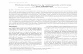Morfoanatomia da plântula de Campomanesia xanthocarpa O ... · 614 Gogosz et al.: Morfoanatomia da plântula de Campomanesia xanthocarpa O. Berg. (Myrtaceae) et al. 2000; Ibarra-Manríquez