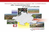 REGIÃO METROPOLITANA DE CAMPINAS do nascimento · Campinas - SP - Brasil ... a imprensa regional, que tem prestado relevantes ... andamento do projeto de instalação do trem rápido