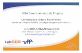 MBA Gerenciamento de Projetos - KMPress – Gestão do ...kmpress.com.br/site/wp-content/uploads/2011/06/01-LABCEO-SOCIEDADE... · MBA Gerenciamento de Projetos CULTURA ORGANIZACIONAL.
