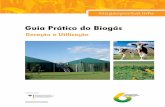 Guia Prático do Biogás - Web-Resol :: Resíduos Sólidos ... · - normas técnicas e projetos de referência; ... 4.2.1 Fabricação de cerveja ... 5.4 Gestão de distúrbios ...