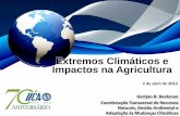 Extremos Climáticos e Impactos na Agricultura · Área de Coordenação Transversal de Agricultura e Segurança Alimentar A visão do IICA face às Mudanças Climáticas. ... Slide