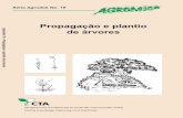 Agrodok-19-Propagação e plantio de árvores · Os Capítulos 5 até 8 tratam todos da cultura das plantas no viveiro e do transplante para o campo. As técnicas são apropriadas