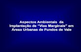 Áreas Urbanas de Fundos de Vale - sema.pa.gov.brsema.pa.gov.br/download/Paulo_Pinho_UNAMA.pdf · PhD Paulo Maurício Pinho. Objetivos Analisar e discutir a apropriação das áreas