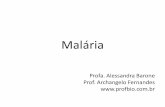 Malária - profbio.com.br · masculino Gametócito Feminino Ilustração disponível em livropar/img/capitulo2/8.html P. falciparum . ... •Ciclo eritrocítico responsável pela