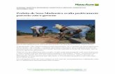 Prefeito de Sena Madureira avalia positivamente parceria ...imc.ac.gov.br/wp-content/uploads/2017/04/Novembro.pdf · Projeto de piscicultura do Acre é uma das maiores apostas de