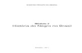 Módulo 2 História do Negro no Brasil - 209.177.156.169209.177.156.169/libreria_cm/archivos/pdf_242.pdf · nem aqueles que não sobreviveriam à travessia do Atlântico. Destes,