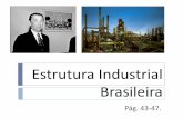 Estrutura Industrial Brasileira - sistema.deltacolegio.com.brsistema.deltacolegio.com.br/upload/0404201310450_indbras.pdf · rumo ao Centro-Oeste, Sudeste e Sul. ... 1º Tecnopolo: