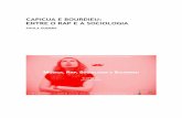 CAPICUA E BOURDIEU: ENTRE O RAP E A SOCIOLOGIAler.letras.up.pt/uploads/ficheiros/15742.pdf · Carles, aborda as atividades profissionais de Pierre Bourdieu de 1998 a 2001. Porém,