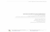 ESTUDO DE IMPACTO DE VIZINHANÇA - Araucaria - PR · Sistema de Abastecimento de Água ... Descrição das vagas de estacionamento ... Anexo 15 – Plano de Gerenciamento de Resíduos