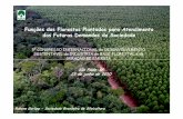 Funções das Florestas Plantadas para Atendimento das ...E7Ses%20florestas... · sustentÁvel da indÚstria de base florestal e de ... -de florestas plantadas na economia florestal